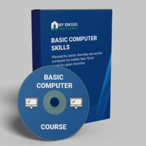 Basic Computer Skills