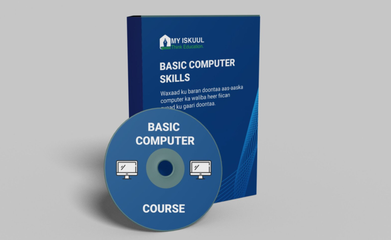 Basic Computer Skills